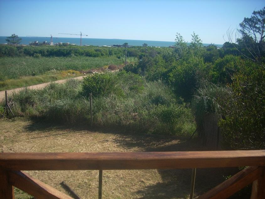 Proa Amarilla Punta del Este Quarto foto